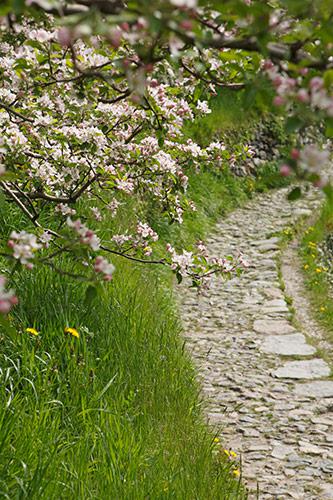 Wanderweg in Dorf Tirol