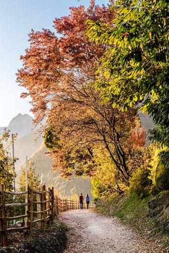 Herbstfärbung in Dorf Tirol