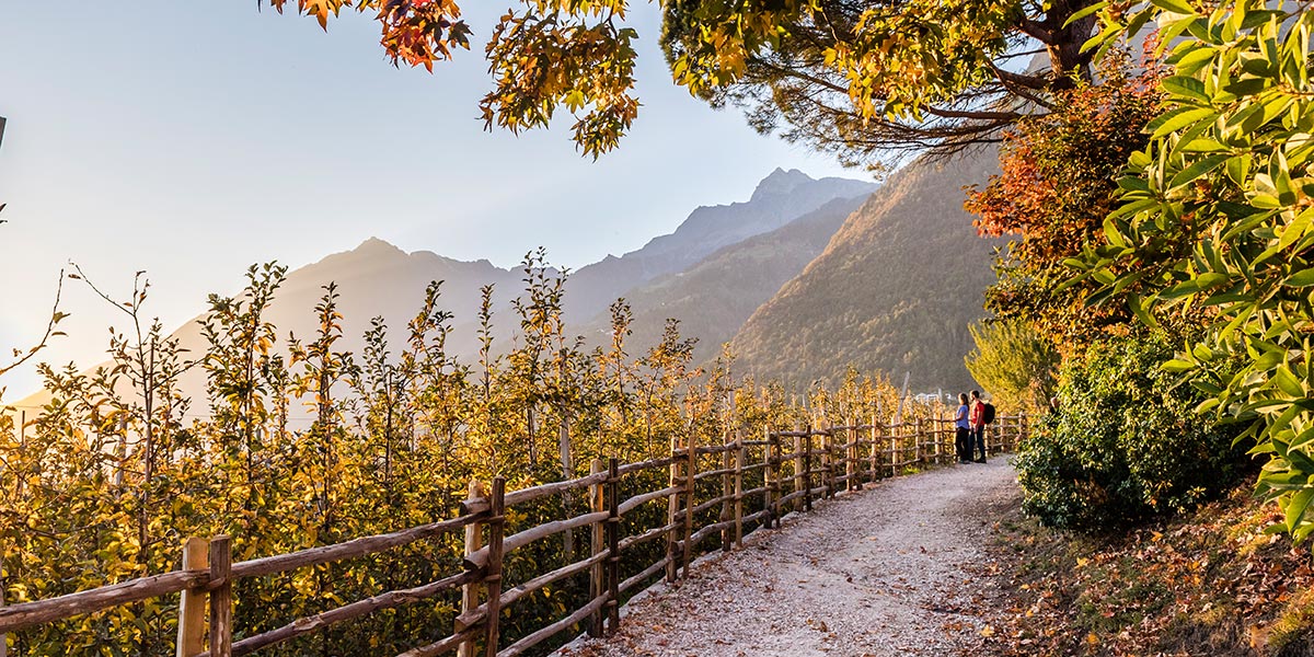 Dorf Tirol im Herbst
