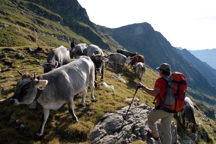 Wandern im Meraner Land